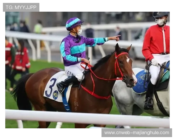 莫干山斯巴达勇士赛本土化创新获赞，赛事成功举办引热议